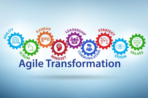 Components of an agile transformation